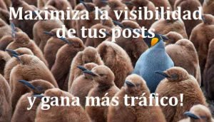 maximiza la visibilidad de tus posts