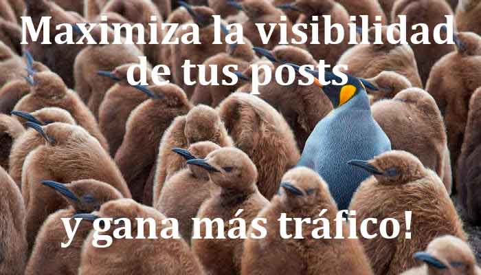 maximiza la visibilidad de tus posts